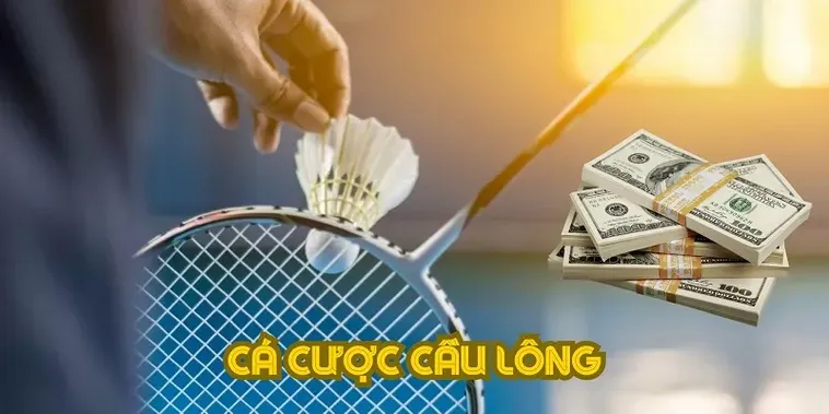 Cách Chơi Cá Cược Cầu Lông AE888: Bí Kíp Tăng Tỷ Lệ Thắng Lớn